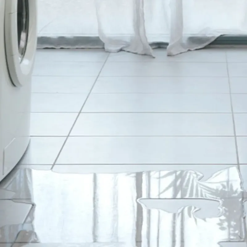 Appliance Leak Cleanup in Gordo, AL