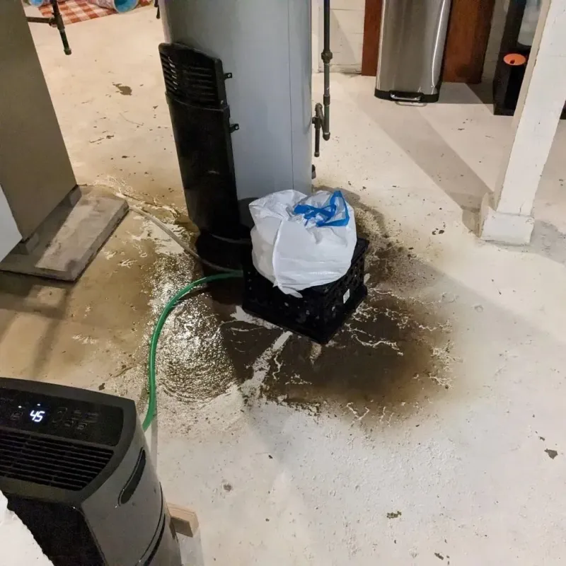 Sewage Backup Cleanup Service in Gordo, AL
